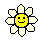 :sunflower
